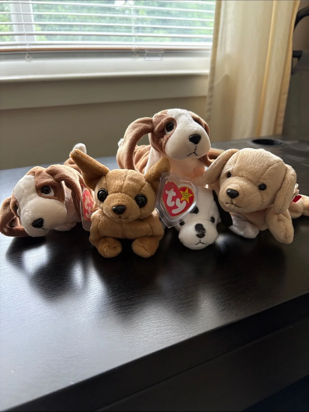 Ty Beanie Babies Plush Dog Set - Brown, Tan, White, Black